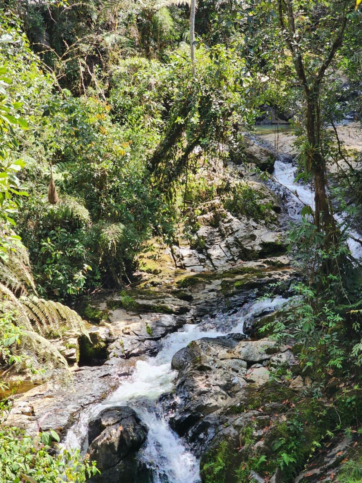 La Serena Reserva Natural Concepcion Exterior foto